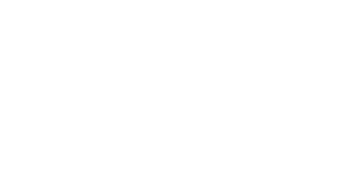 Phygitale App Solutions – entwickelt mit Hewlett Packard.